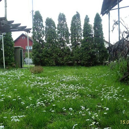 Kuca Za Odmor Jelena Apartman Kladovo Kültér fotó
