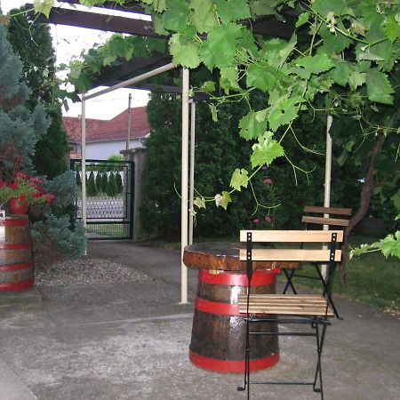Kuca Za Odmor Jelena Apartman Kladovo Kültér fotó