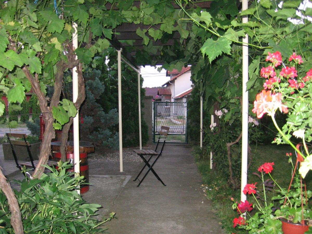 Kuca Za Odmor Jelena Apartman Kladovo Kültér fotó