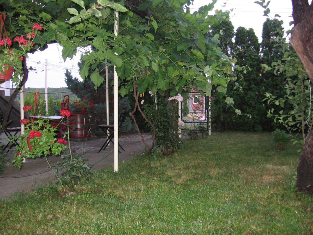 Kuca Za Odmor Jelena Apartman Kladovo Kültér fotó