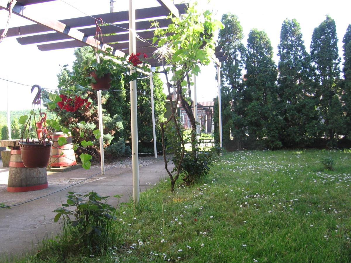 Kuca Za Odmor Jelena Apartman Kladovo Kültér fotó